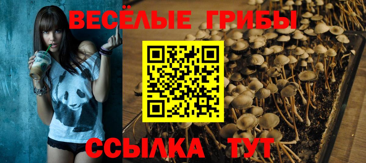 Элиста  Галлюциногенные грибы Cubensis  Псилоцибиновые грибы Magic Shrooms  Вход с VPN 